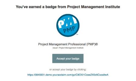 PMIBadge.JPG